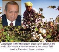 Turn Around Mantra For Uzbek Farm Sector